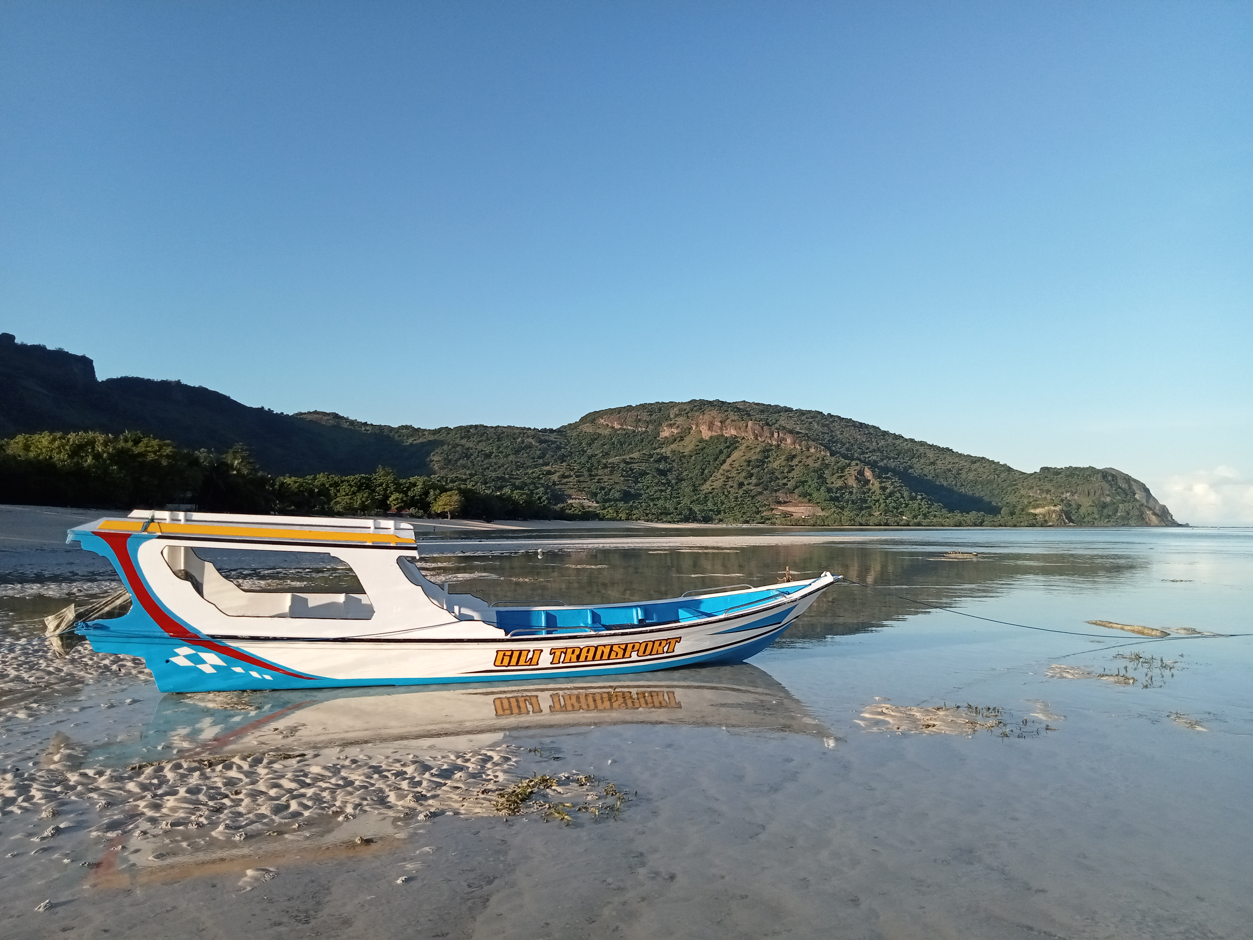 Boat trips